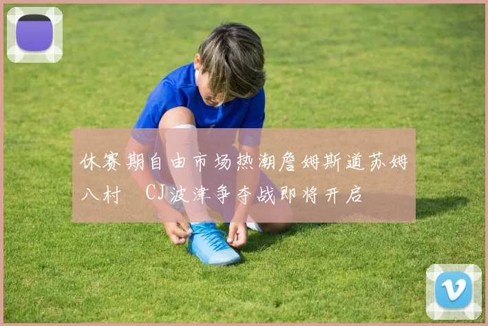 休赛期自由市场热潮詹姆斯道苏姆八村塁CJ波津争夺战即将开启